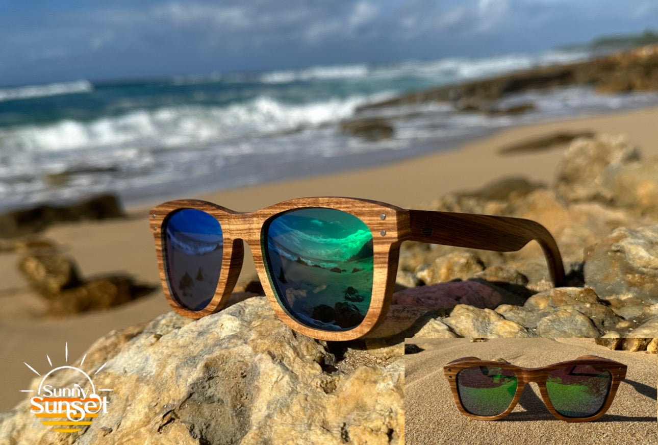Gafas Polarizadas